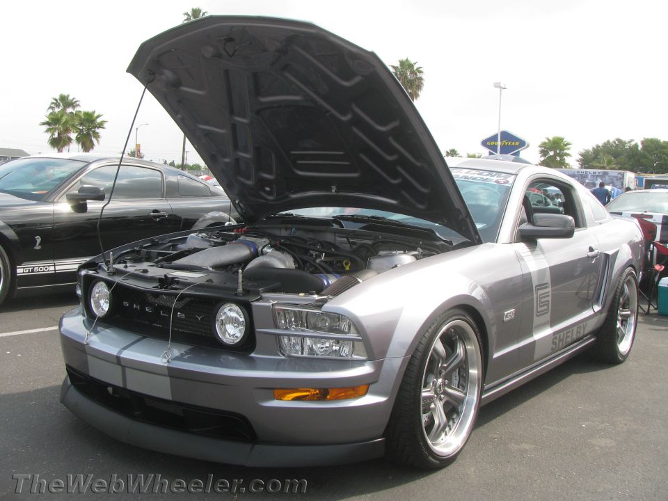 Silver Shelby Mustang with hood open, showing engine and custom wheels