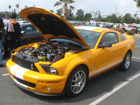 1968 Ford Mustang - This yellow 2008 Ford Mustang GT500 is displayed with its hood open, revealing the engine and a prominent side stripe.