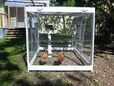 1996 Ford Bronco - A white chicken coop with two chickens is shown in an outdoor setting, with a house and stairs in the background.