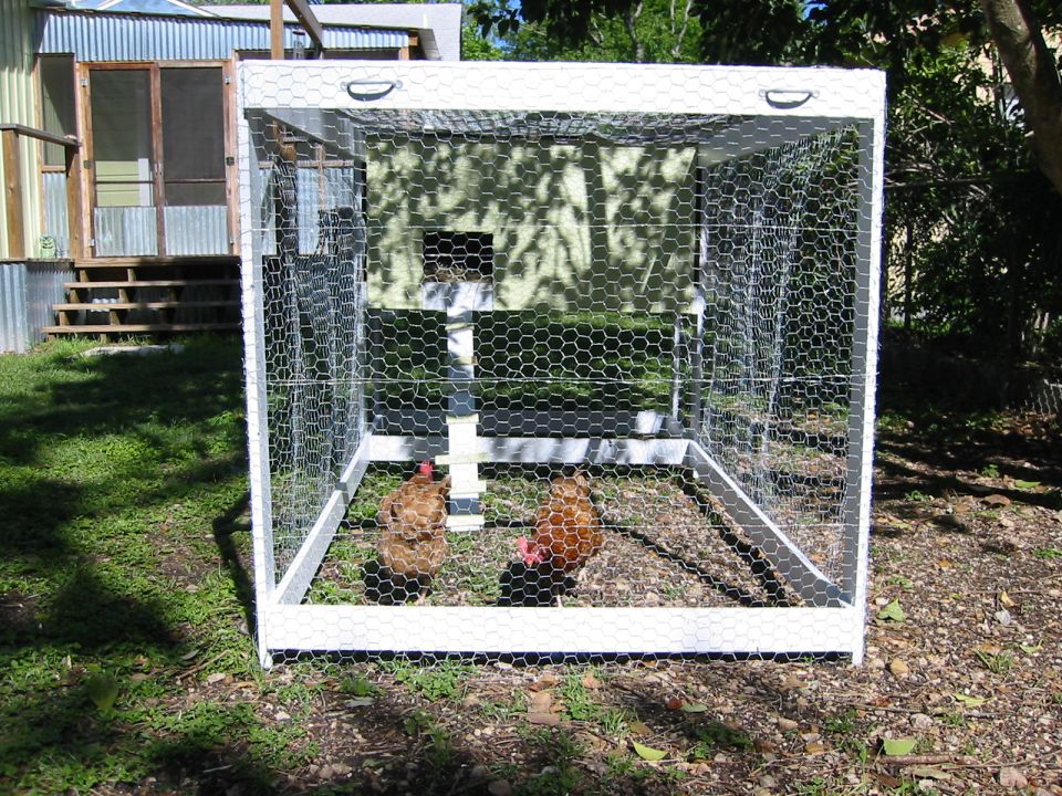 Chicken coop with two chickens inside, outdoor scene