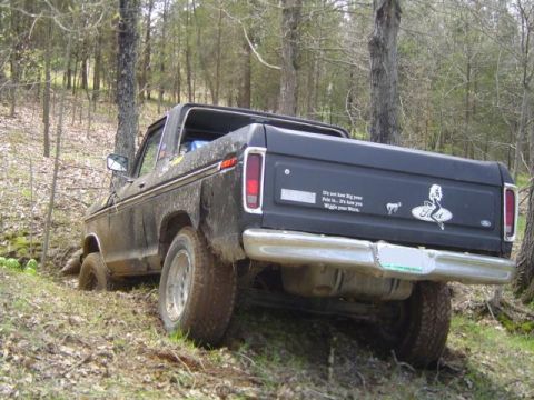 1979 Ford Bronco photo