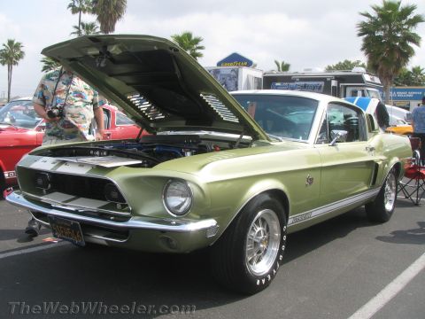 1968 Ford Mustang - A 1968 Ford Mustang Shelby GT500 is displayed with its hood open at an outdoor car show.