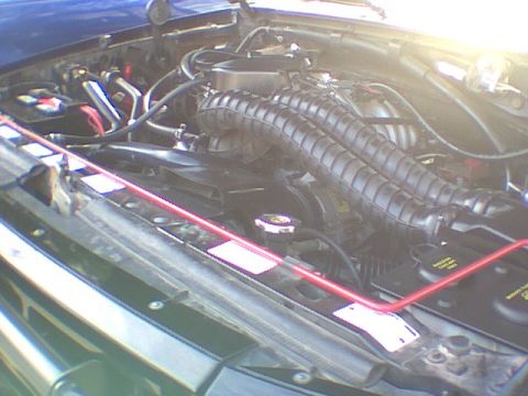 1995 Ford Bronco - The 351 Windsor /w Mods.
