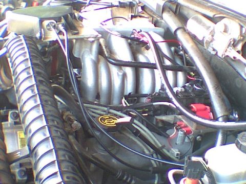 1995 Ford Bronco - Pic 3