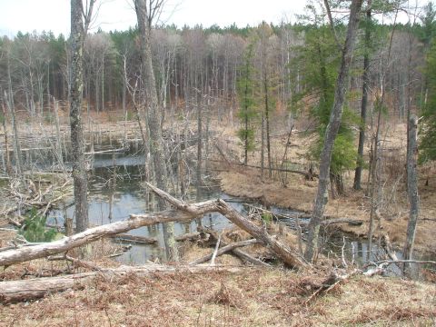 1990 Ford Bronco - Beaver Dam - sometimes you have to cross some nasty spots to get to the goodies.