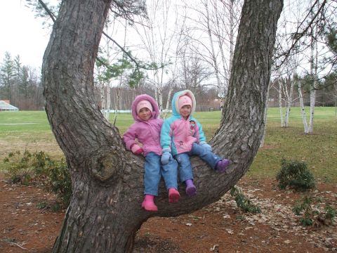 1990 Ford Bronco - Girls in tree. Spring 2008.