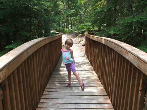 1990 Ford Bronco - Amelia on the bridge - 2007