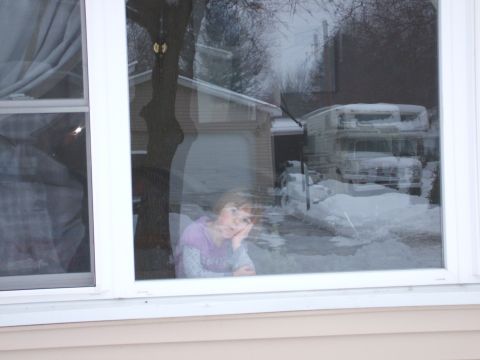 1990 Ford Bronco - amelia in the window...