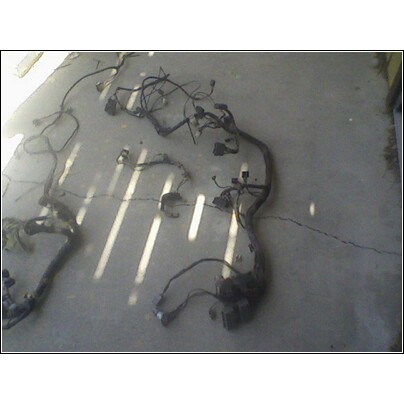 1972 Ford Ranchero - A complex vehicle wiring harness is spread out on a concrete surface, illuminated by sunlight.