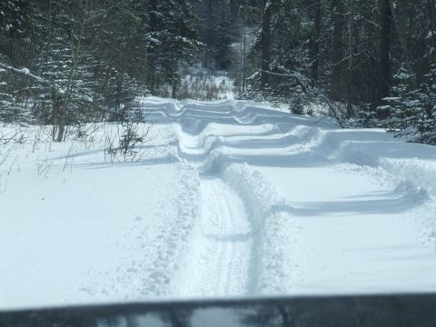 1988 Ford Bronco - A snowy forest road shows deep tire tracks, suggesting recent travel through the winter landscape.