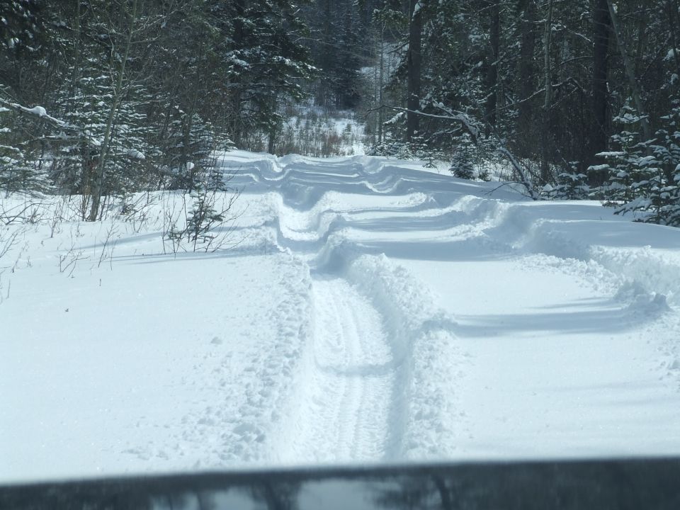 Snowy forest road with tire tracks and SUPERMOTORS watermark