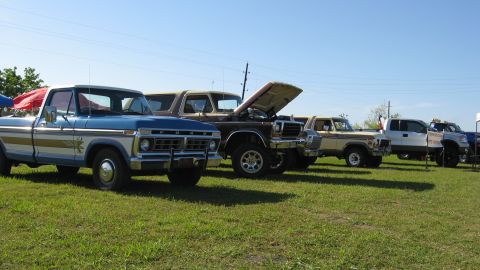 1979 Ford Bronco - A line of Ford trucks and SUVs are parked on a grassy field under a clear blue sky.