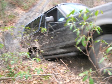 1996 Ford Bronco - A dark-colored SUV navigates a muddy, wooded trail, with branches obscuring the view.