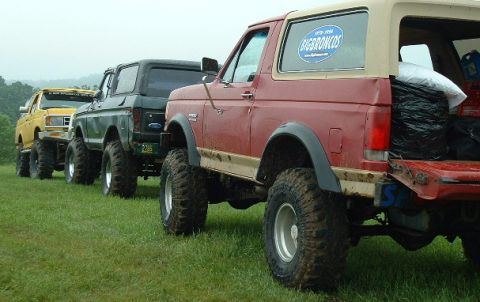 1988 Ford Bronco - Several Ford Broncos are lined up on a grassy field, with the closest one showing its rear cargo area.