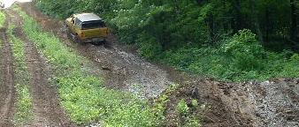 1988 Ford Bronco - A yellow SUV navigates a challenging dirt path surrounded by lush green foliage.