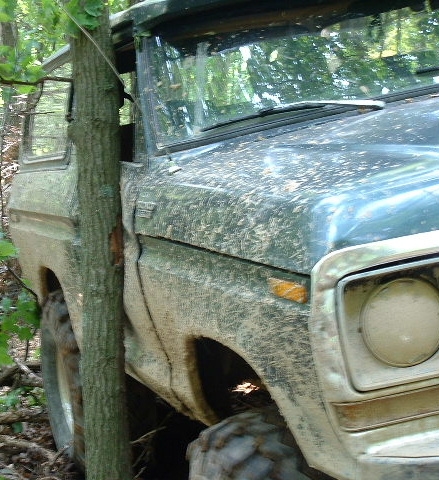 1988 Ford Bronco - This 1978 Ford Bronco appears to be stuck between two trees, covered in mud from off-roading.