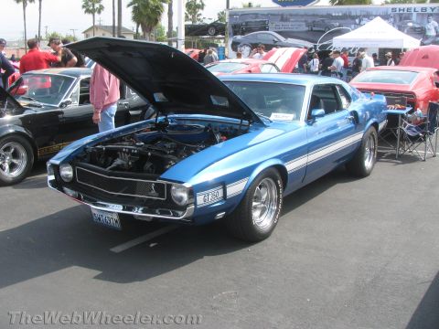 1968 Ford Mustang - A blue 1969 Ford Mustang GT350 is displayed with its hood up at an outdoor car show.