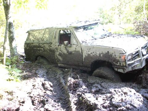 1988 Ford Bronco - This 1988 Ford Bronco is stuck in thick mud, with trees and foliage surrounding it.