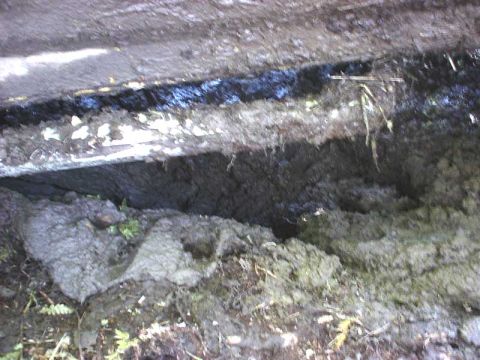 1988 Ford Bronco - A close-up view of a hole in the ground, revealing dark liquid and mud amidst dirt and plant life.