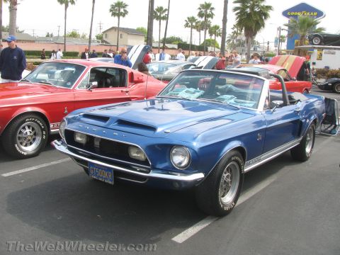 1968 Ford Mustang - A blue 1968 Ford Mustang convertible, identified as a Shelby GT500KR, is parked next to a red Mustang at a car show.