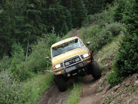 1988 Ford Bronco - This vehicle is navigating a challenging off-road trail surrounded by dense forest.