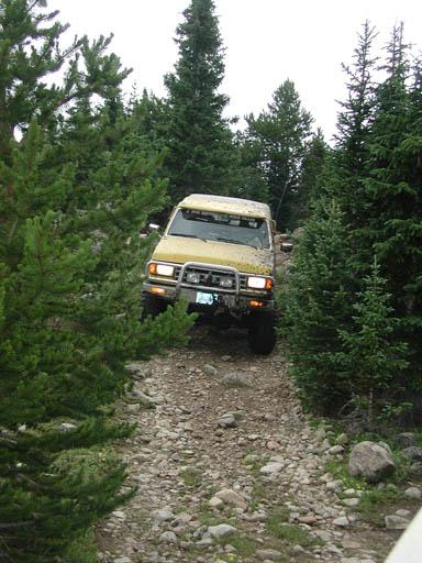 1988 Ford Bronco - Yellow 1988 Ford Bronco navigates a rough, wooded path.