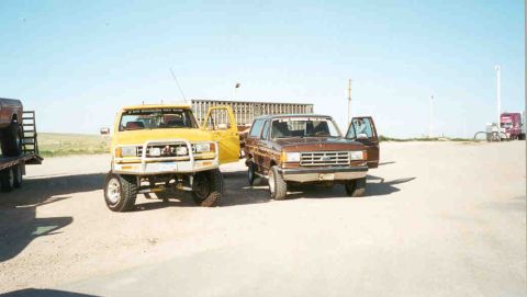 1988 Ford Bronco - A brown 1987 Ford Bronco is parked next to a yellow lifted truck under a clear blue sky.