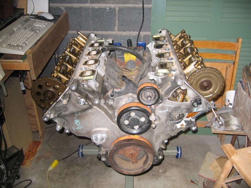 Engine with gold valve covers and timing gears