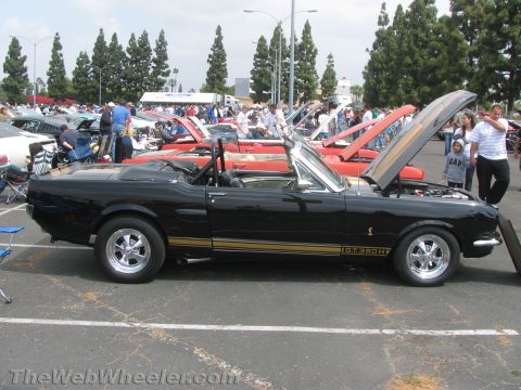 1968 Ford Mustang - A black convertible with gold racing stripes and GT350H badging is displayed at a car show.