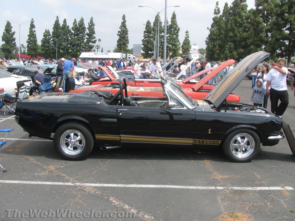 Black convertible with gold racing stripes and GT350H badging