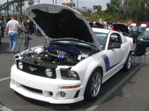 1968 Ford Mustang - This white Ford Mustang displays its engine with the hood open, blue racing stripes on its side.