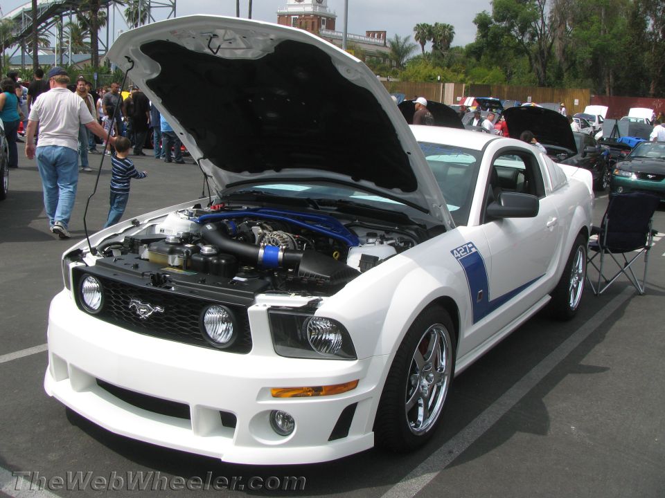 White 2005 Ford Mustang with blue racing stripes and hood open, showing engine