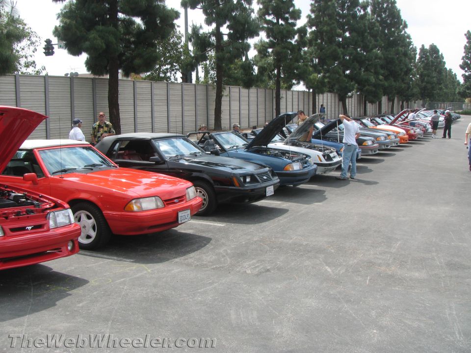 Several Ford Mustangs parked in a row, hoods up on some