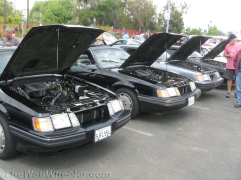 1968 Ford Mustang - Several black Ford Mustangs are lined up with their hoods open, revealing their engines.