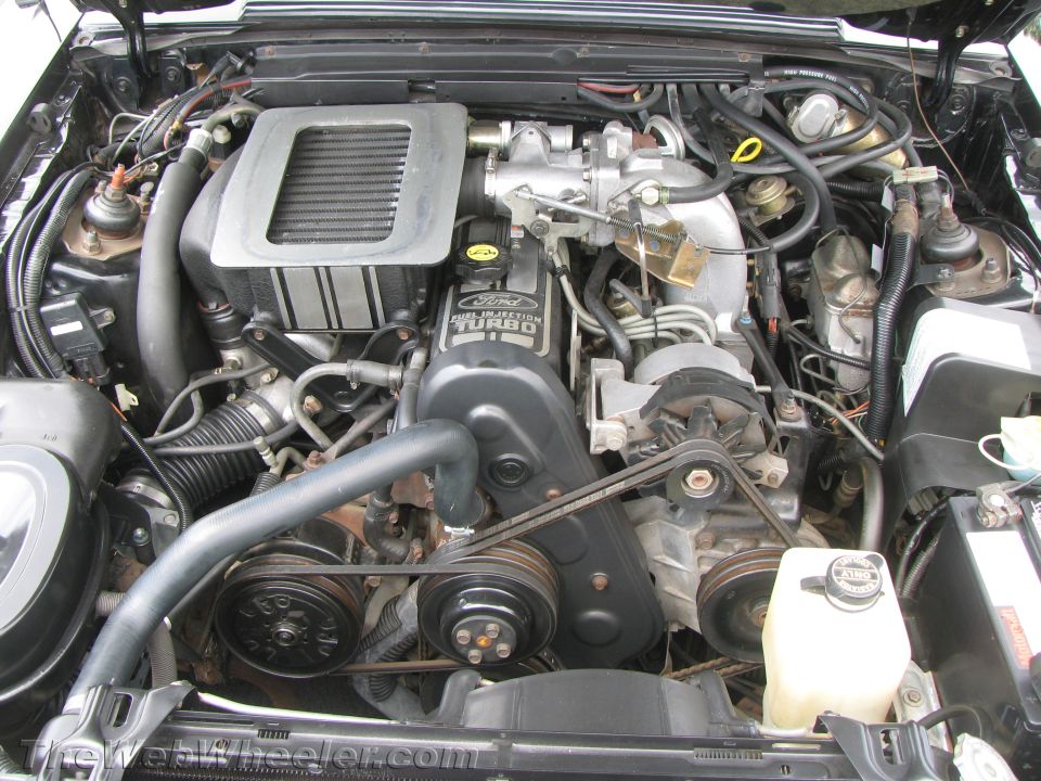 Engine bay with Ford Turbo Fuel Injection engine