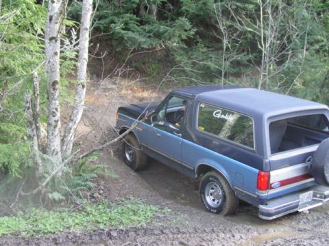 1990 Ford Bronco “jaysbronco”