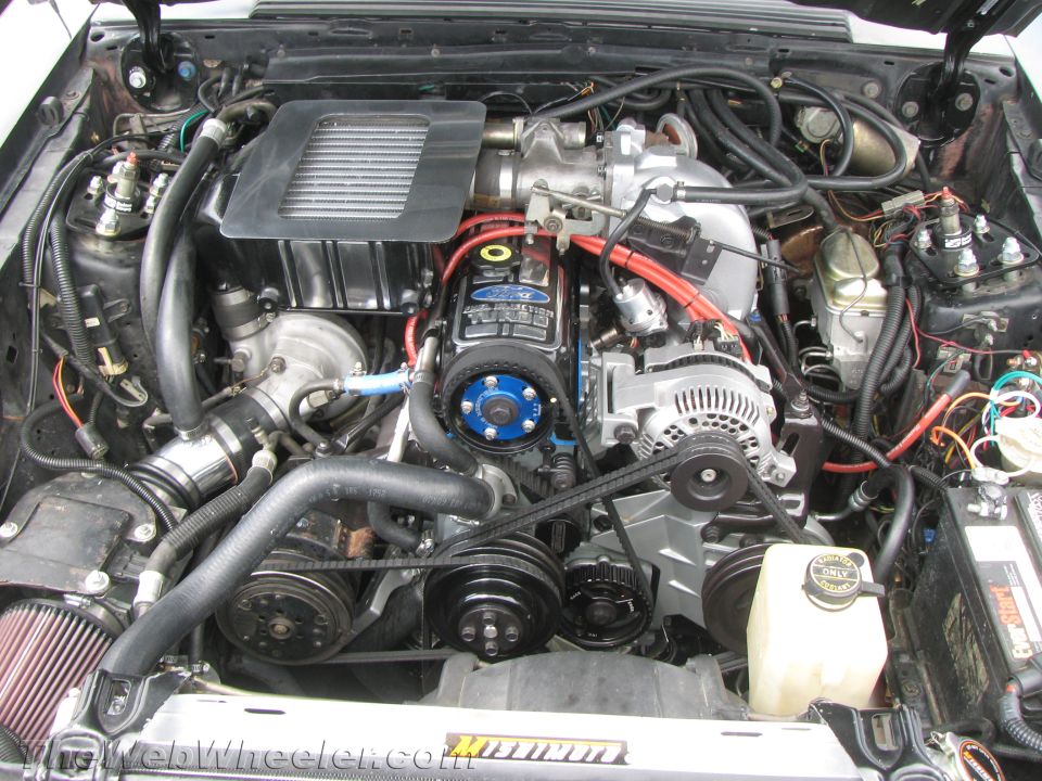 Engine bay with Ford Turbo engine and intercooler