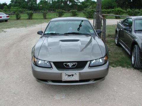 2001 Ford Mustang - The PhantomGT