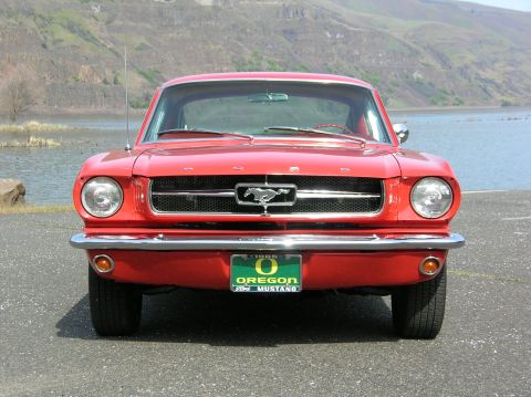1965 Ford Mustang photo