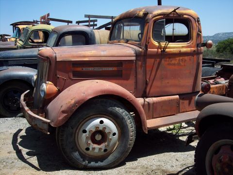 1981 Kenworth W900A - A collection of vintage trucks sits in a yard, showing significant rust and wear.