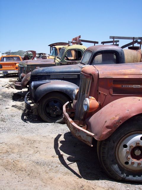 1981 Kenworth W900A - A line of vintage trucks sits in a dusty lot under a clear blue sky.