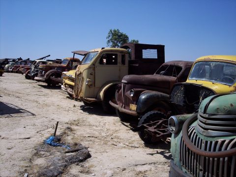 1981 Kenworth W900A - A collection of vintage trucks sits in a scrapyard, awaiting their fate.