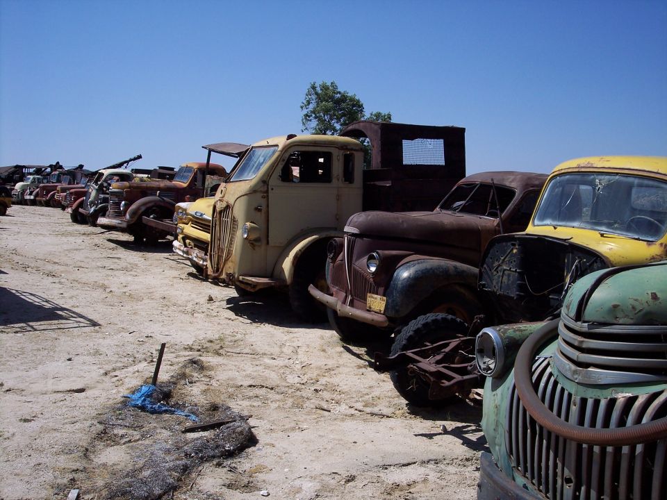 Junkyard scene with multiple old trucks lined up under a clear blue sky