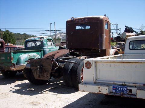 1981 Kenworth W900A - A collection of old trucks sits in a junkyard under a clear blue sky, with a rusty cabover dominating the center.