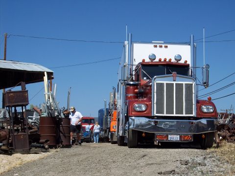 1981 Kenworth W900A - A line of semi-trucks are parked on a dirt road under a clear blue sky.
