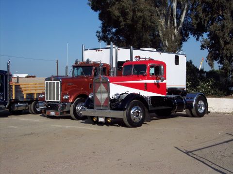 1981 Kenworth W900A - Two classic semi-trucks are parked next to each other under a clear blue sky.
