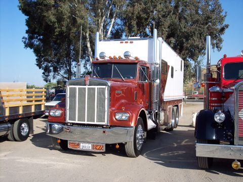 1981 Kenworth W900A - Two classic semi-trucks, including a 1981 Kenworth W900A, are parked outdoors on a sunny day.