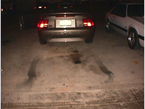 2001 Ford Mustang - V6 Burnout