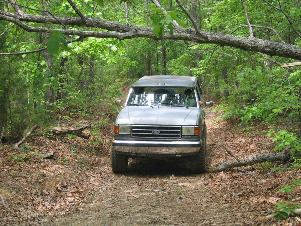 Silver SUV driving on a dirt road in a forest with a low-hanging branch.