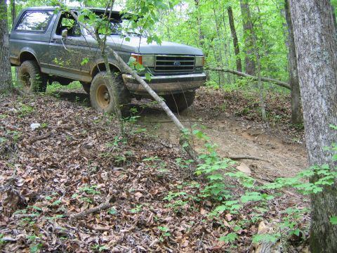 1989 Ford Bronco photo